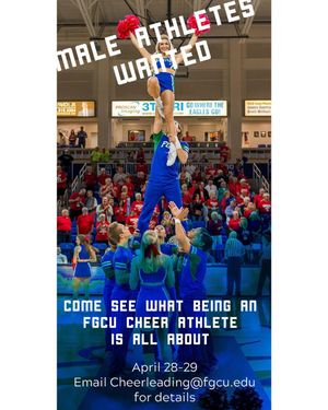 Image post by @fgcu_cheer on Instagram