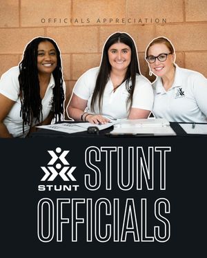 Image post by @stuntthesport on Instagram