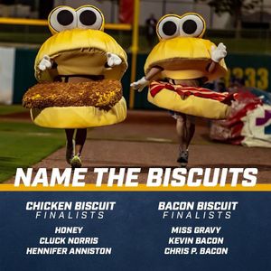 Image post by @biscuitbaseball on Instagram