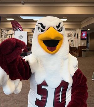 Image post by @csc_admissions on Instagram