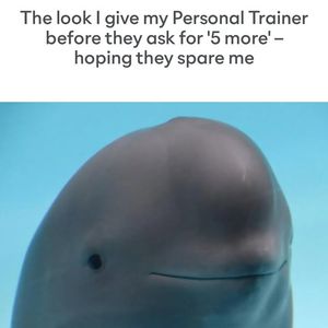 Image post by @BlinkFitness on Facebook