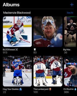 Video post by @coloradoavalanche on TikTok
