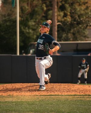 Image post by @theseahawkperch on Instagram