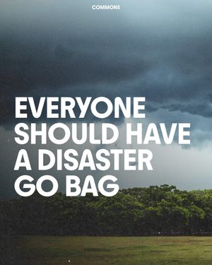 Image post by @commonsearth on Instagram