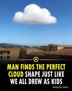 Image post by @advancible on Instagram