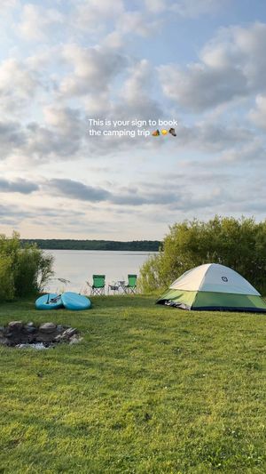 Video post by @morgan.exploring on TikTok