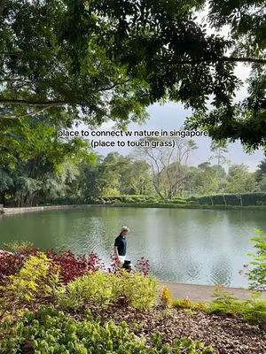 Image post by @visit_singapore on TikTok
