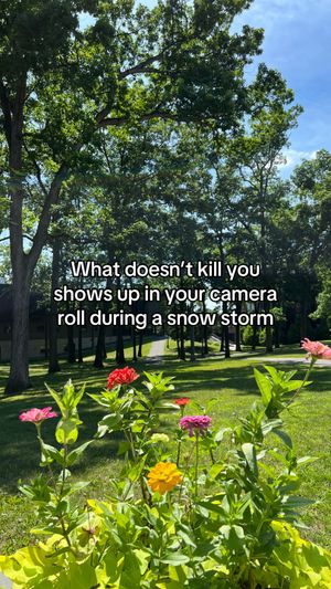 Video post by @skidmorecollege on TikTok