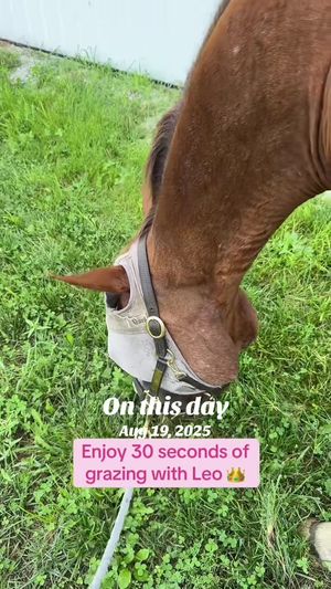 Video post by @kate.cassaidy on TikTok