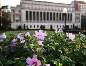 Image post by @columbia on Instagram