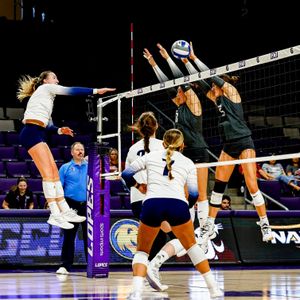 Image post by @wsucougarvb on Instagram