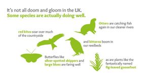 Image post by @rspb on Instagram