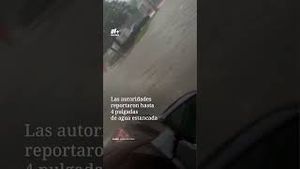 Video post by @nmasunivision on YouTube