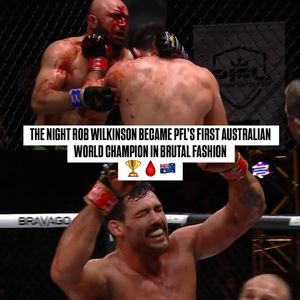 Image post by @pflmma on Instagram