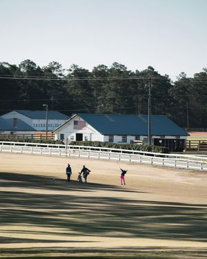 Image post by @foretheladies on Instagram