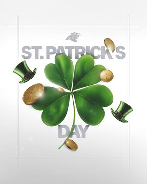 Image post by @panthers on Instagram