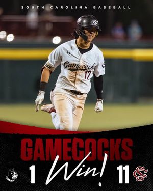 Image post by @gamecockbaseball on Instagram