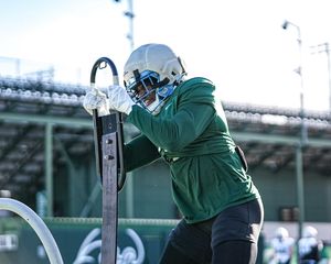 Image post by @greenwavefb on Instagram