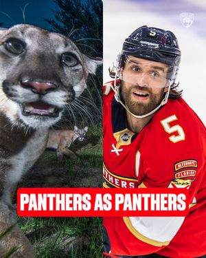 Image post by @flapanthers on Instagram