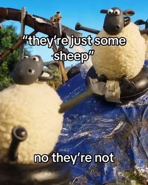 Image post by @shaunthesheepofficial on TikTok