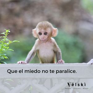 Image post by @mariovelski on Instagram