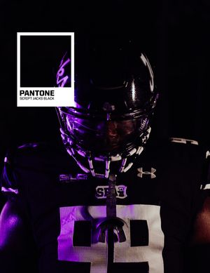 Image post by @southlandsports on Instagram