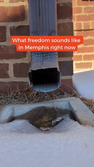 Video post by @MMGMemphis on Facebook