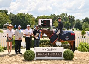 Image post by @kyhorseshows on Instagram
