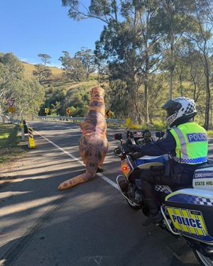 Image post by @victoriapolice on Instagram