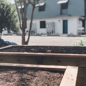 Image post by @thebowiesa on Instagram