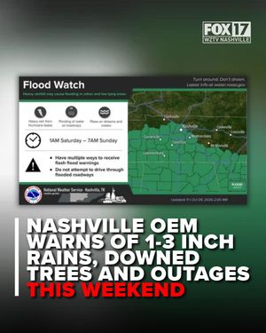 Image post by @foxnashville on Instagram