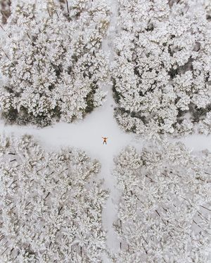 Image post by @tanczacachmura on Instagram