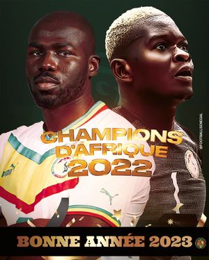 Image post by @FootballSenegal on Twitter