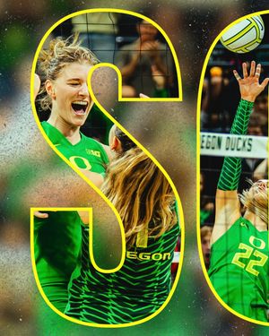 Image post by @goducksw on Instagram