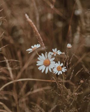 Image post by @kate.simple.life on Instagram