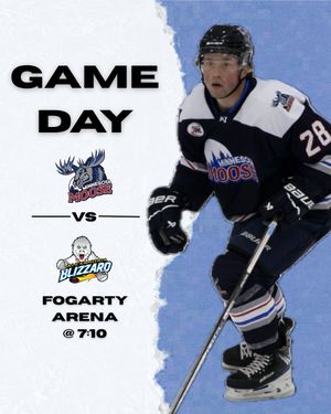 Image post by @mnmoosehockey on Instagram