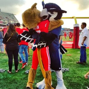 Image post by @riceathletics on Instagram