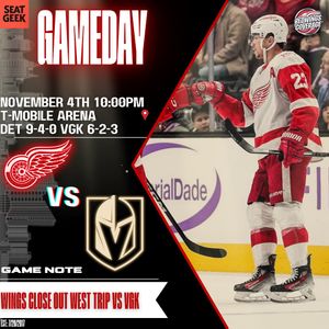 Image post by @redwingscoverage on Instagram