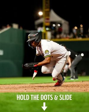 Image post by @saltlakebees on Instagram