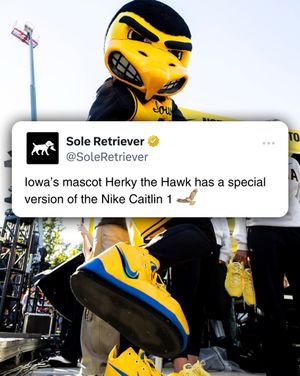 Image post by @soleretriever on Instagram