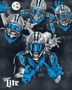 Image post by @panthers on Instagram