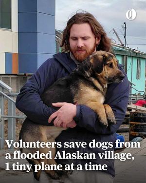 Image post by @theoregonian on Instagram