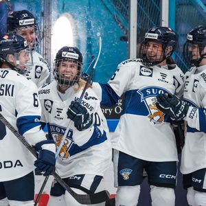 Image post by @leijonatfi on Instagram