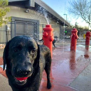 Image post by @cityofhenderson on Instagram