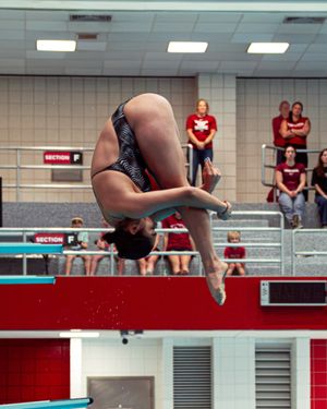 Image post by @razorbackswimdive on Instagram
