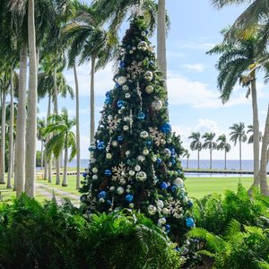 Image post by @deeringestate on Instagram