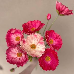 Image post by @bonita_flowers on Instagram