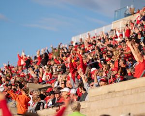 Video post by @isuredbirds on TikTok