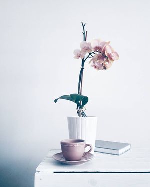 Image post by @kate.simple.life on Instagram