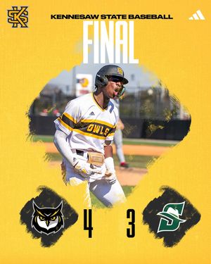 Image post by @ksuowlsbsb on Instagram